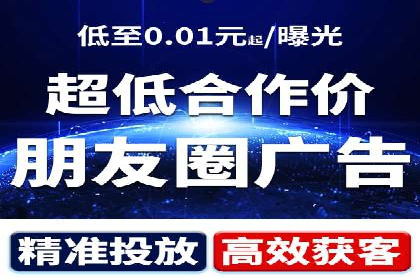 大型SEM服务公司案例分析